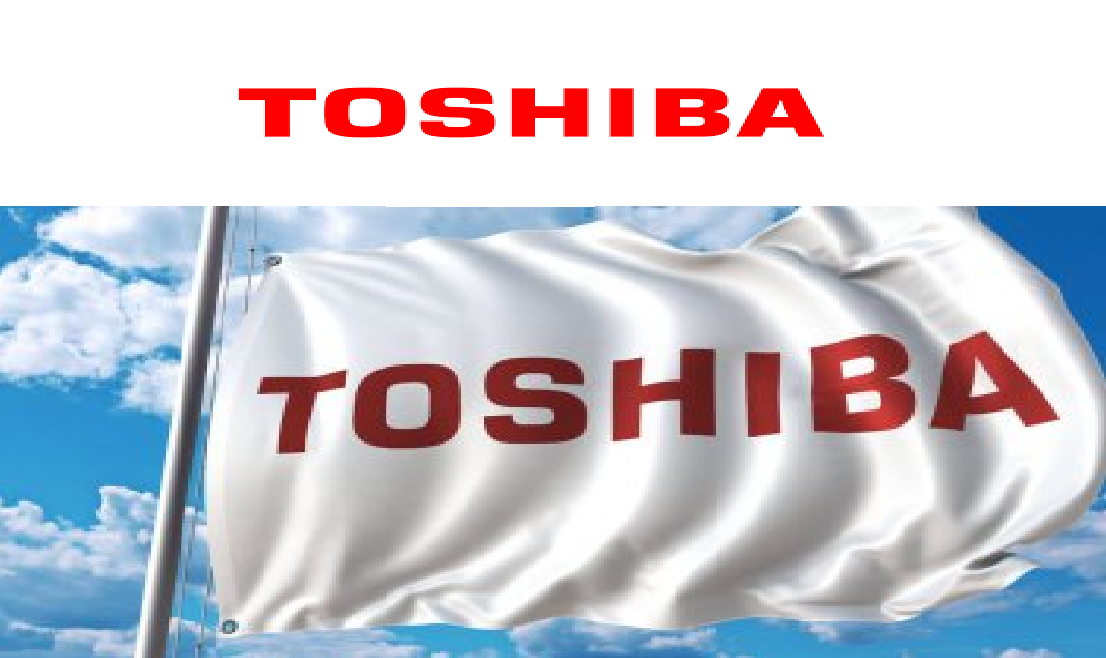 İzmir Buca Toshiba Kombi Klima Servisi